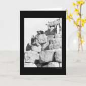 登山素晴らし・ザ・ピラミッド（1870年） カード (黄色い花)