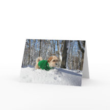 登山者の勇気付けられるカード