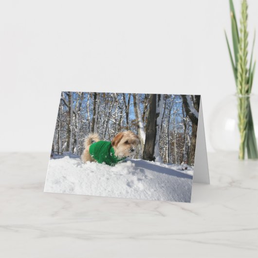 登山者の勇気付けられるカード カード (正面)