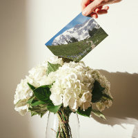 登山道が上手く行く