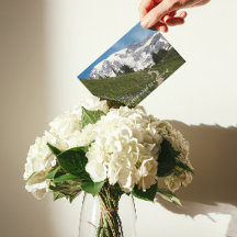 登山道が上手く行く