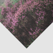 登山道ティッシュペーパー 薄葉紙 (詳細)