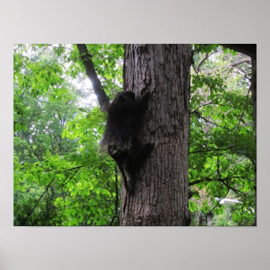 登山高 ポスター (正面)