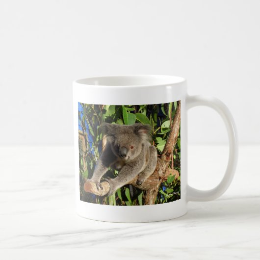 登山Koala.jpg コーヒーマグカップ (右)
