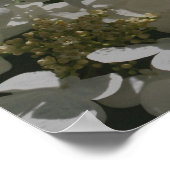 白あじさい花 ポスター (角)