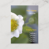 白いかわいらしいちご花の名刺。 名刺 (裏面)