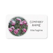 白いかわいらしチューリップの花