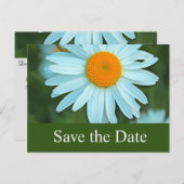白いかわいらしデイジーの花は日付を保存 案内ポストカード (正面/裏面)