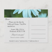 白いかわいらしデイジーの花は日付を保存 案内ポストカード (裏面)