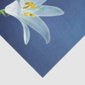 白いかわいらしLilyフローラ写真 薄葉紙 (詳細)