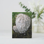 白いきのこ ポストカード (スタンド正面)