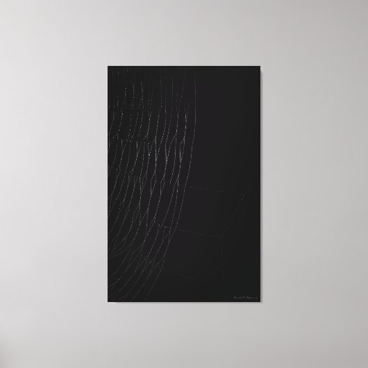 白いくもの巣と黒のキャンバス印刷 キャンバスプリント (正面)