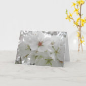 白いさくらんぼの花の写真 カード (黄色い花)