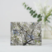 白いさくらんぼの花：東京 ポストカード (スタンド正面)