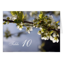 白いさくらんぼ開花ディナーテーブル番号カード。