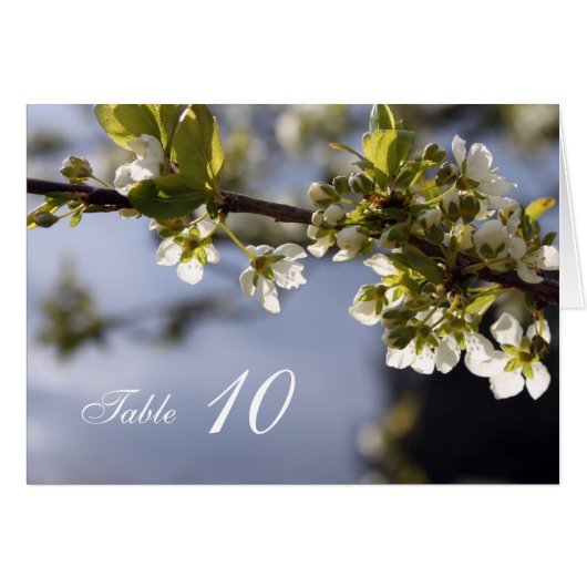 白いさくらんぼ開花ディナーテーブル番号カード。 (正面横)