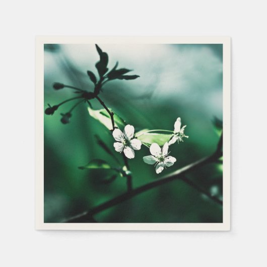 白いさくらんぼ スタンダードカクテルナプキン (正面)