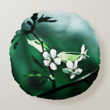 白いさくらんぼ