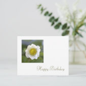 白いちご花ハッピーバースデー ポストカード (スタンド正面)