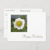 白いちご花ハッピーバースデー ポストカード (正面/裏面)