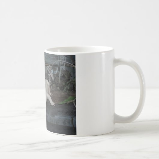 白いわに コーヒーマグカップ (右)