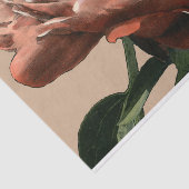 白いアクセントのルビー色の赤いバラ 薄葉紙 (詳細)