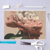 白いアクセントのルビー色の赤いバラ 薄葉紙 (クラフト)