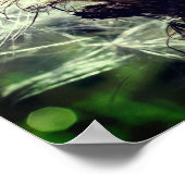 白いアザラシの種毛羽がクローズアップ ポスター (角)