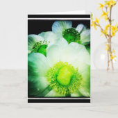 白いアネモネのブランクの挨拶状 カード (黄色い花)