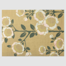 白いアネモンの花