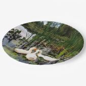 白いアヒル、ユリのパッド、カタイル、湖の海岸 ペーパープレート (アングル)