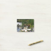 白いアヒル、ユリのパッド、カタイル、湖の海岸 ポストイット (デスク上)