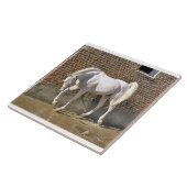 白いアラビアの種馬 タイル (側面)