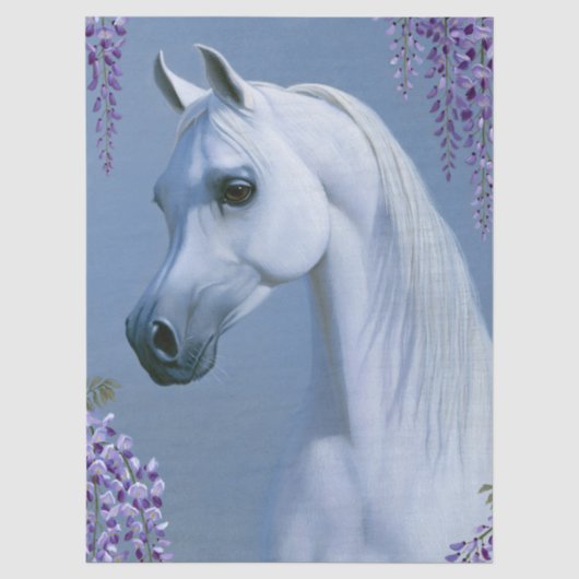 白いアラブの種牡馬のデクパージュアート 薄葉紙 (正面)