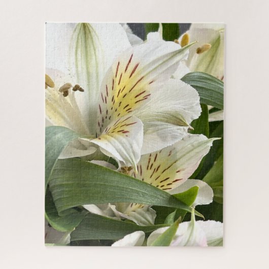 白いアルストロメリアの花のクローズアップ写真 ジグソーパズル (縦)