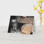 白いイタチの挨拶状、中ブランク カード (黄色い花)