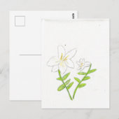 白いイースターリリー ポストカード (正面/裏面)