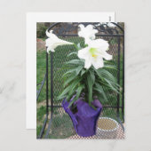 白いイースター・リリーの郵便はがき シーズンポストカード (正面/裏面)