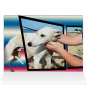白いウィペット犬の次元アート、Bdayカード (内部横(上))