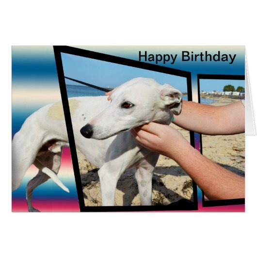 白いウィペット犬の次元アート、Bdayカード (正面横)