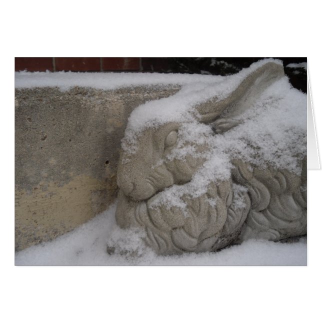 白いウサギ (正面横)