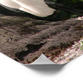 白いエグエレガントレットの鳥のポスター ポスター (角)