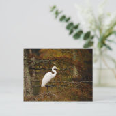 白いエグレ素晴らしットの紅葉はがき ポストカード (スタンド正面)