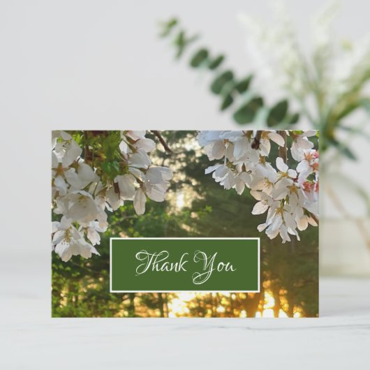 白いエレガントフローラの木の芽が日の出 サンキューカード (スタンド正面)