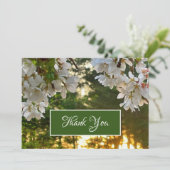 白いエレガントフローラの木の芽が日の出 招待状 (スタンド正面)