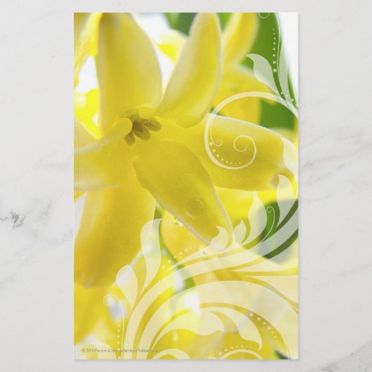 白いエレガント渦巻き旋回を持つ黄色のヒヤシンス チラシ (裏面)