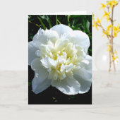 白いエレガント牡丹フローラ白い花写真 カード (黄色い花)