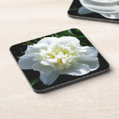 白いエレガント牡丹フローラ白い花写真 コースター (左側)