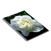 白いエレガント牡丹フローラ白い花写真 ノートブック (右側)