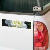 白いエレガント牡丹フローラ白い花写真 バンパーステッカー (トラック上)